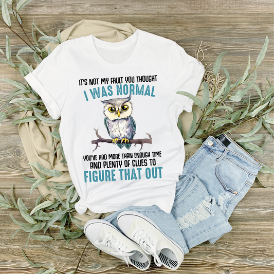 It’s not my fault…