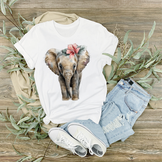 Elephant 002