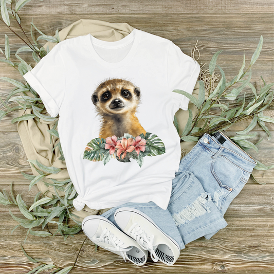 Meerkat 002