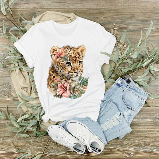 Cheetah 002
